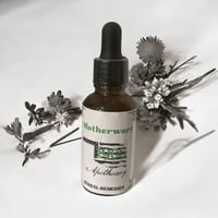 Motherwort