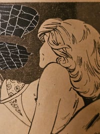 Image 2 of Framed Vintage Erotic strip page with preserved spider web - 2