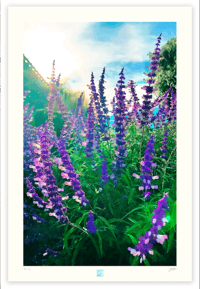 A GLORIOUS DAY (36X24)