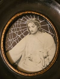 Image 2 of 1800s bible page with real preserved web in antique frame