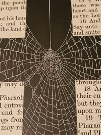 Image 4 of " 2 way Crucifix" 1800's bible page with preserved spider web - 5