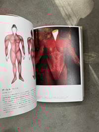Image 3 of Eiko Ishioka - Blood, Sweat, and Tears - A Life of Design