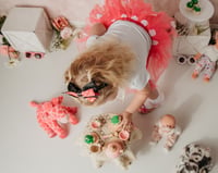 Image 3 of Tea Party Minis At Pause Button Photography