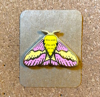 Rosy Maple Moth Enamel Pin