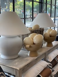 Image 3 of Ostrich Egg