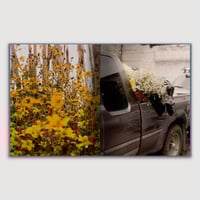 Image 11 of GENESIS, Juan Brenner