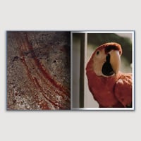 Image 14 of GENESIS, Juan Brenner