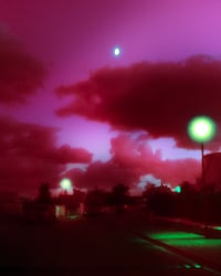 Purple Night