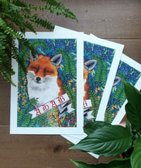 A.H.A.B Snowy Fox Print