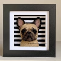 Image 1 of Frenchie Box Frame - Fawn, Black