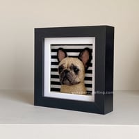 Image 4 of Frenchie Box Frame - Fawn, Black