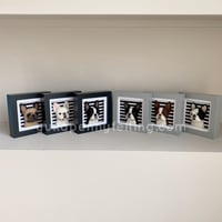 Image 5 of Frenchie Box Frame - Fawn, Black