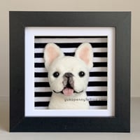 Image 1 of Frenchie Box Frame - Cream, Black