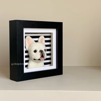 Image 2 of Frenchie Box Frame - Cream, Black