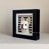 Image 3 of Frenchie Box Frame - Cream, Black