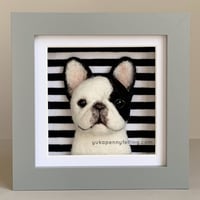 Image 1 of Frenchie Box Frame - Pied, Grey