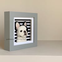 Image 2 of Frenchie Box Frame - Pied, Grey