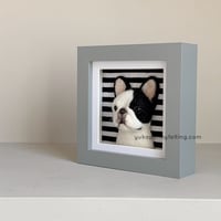 Image 3 of Frenchie Box Frame - Pied, Grey