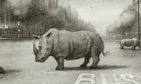 Image 2 of Repro fine Art "Les Rhinocéros" 