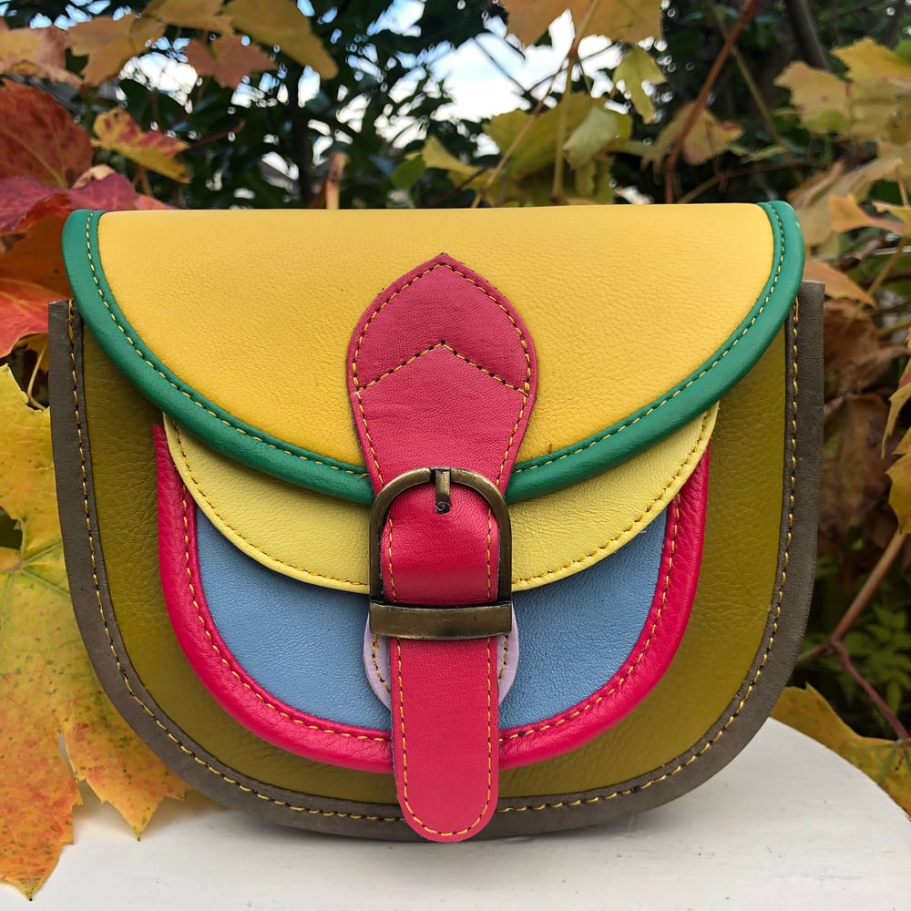 Image of Harlequin Collection - Multicoloured Baby Saddle #36B