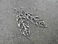 Image 1 of Monstera Obliqua earrings