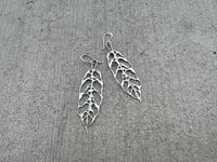 Image 2 of Monstera Obliqua earrings