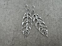 Image 4 of Monstera Obliqua earrings