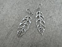 Image 5 of Monstera Obliqua earrings