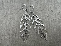 Image 6 of Monstera Obliqua earrings