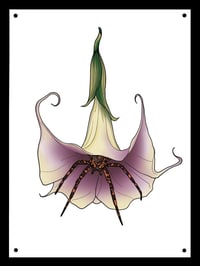 The Secret Garden Spiner