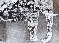 Image 3 of Elephant