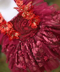 Image 2 of Amore burgundy deluxe outfit( with detachable crystal encrusted butterfly)