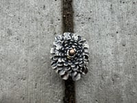 Image 2 of Dahlia, size 7-8