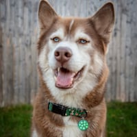 Image 2 of Ball Is Life Collar Charm