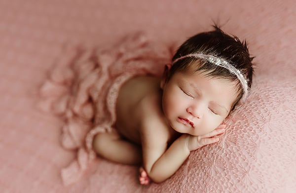 Image of Tearose