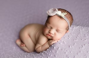 Image of Windsor / lavender