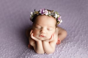 Image of Windsor / lavender