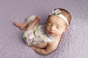 Image of Windsor / lavender