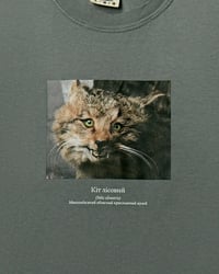 Image 1 of Wildcat t-shirt