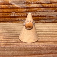 Image 1 of Bruneau Jasper Ring