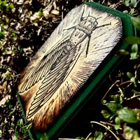 Image 3 of Green Frame Cicada (5x7)