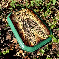 Image 2 of Green Frame Cicada (5x7)