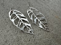 Image 2 of Monstera Esqueleto leaf earrings