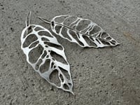 Image 1 of Monstera Esqueleto leaf earrings