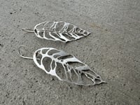 Image 3 of Monstera Esqueleto leaf earrings