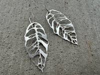 Image 4 of Monstera Esqueleto leaf earrings