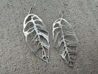 Image 5 of Monstera Esqueleto leaf earrings