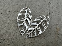 Image 7 of Monstera Esqueleto leaf earrings