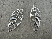 Image 8 of Monstera Esqueleto leaf earrings