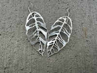 Image 9 of Monstera Esqueleto leaf earrings